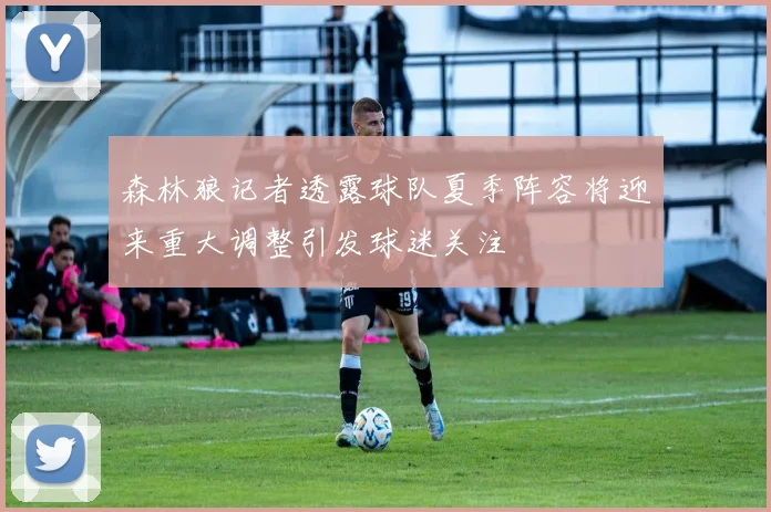 森林狼记者透露球队夏季阵容将迎来重大调整引发球迷关注